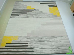 Thảm nỉ trải sàn 13
